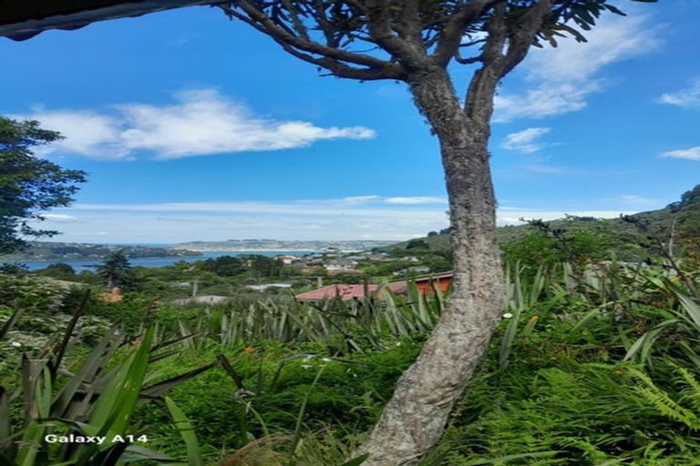 Photo of property in 51 Ellesmere Street, Ravensbourne, Dunedin, 9022