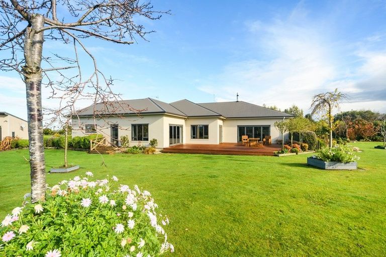 Photo of property in 544c Taonui Road, Colyton, Feilding, 4775