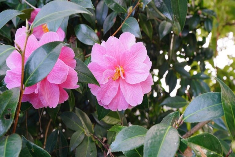 Photo of property in 68 Alice Street, Gladstone, Invercargill, 9810