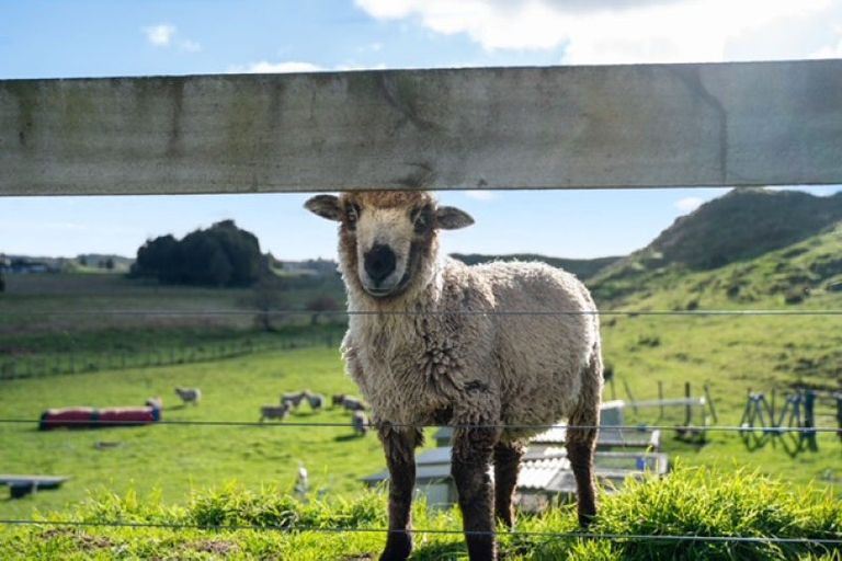 Photo of property in 1168 Oturoa Road, Hamurana, Rotorua, 3072