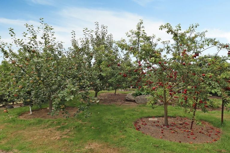 Photo of property in 53 Maudes Road, Deborah, Oamaru, 9492