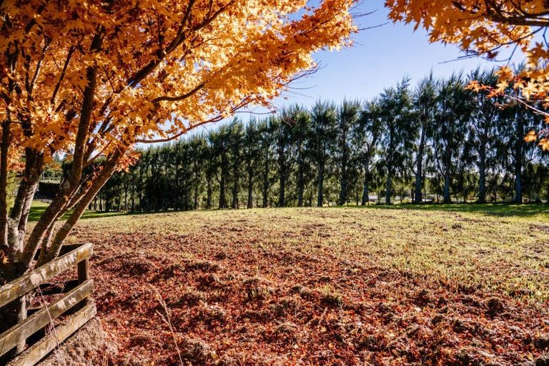 Photo of property in 227 Wairoa Road, Minden, Tauranga, 3171