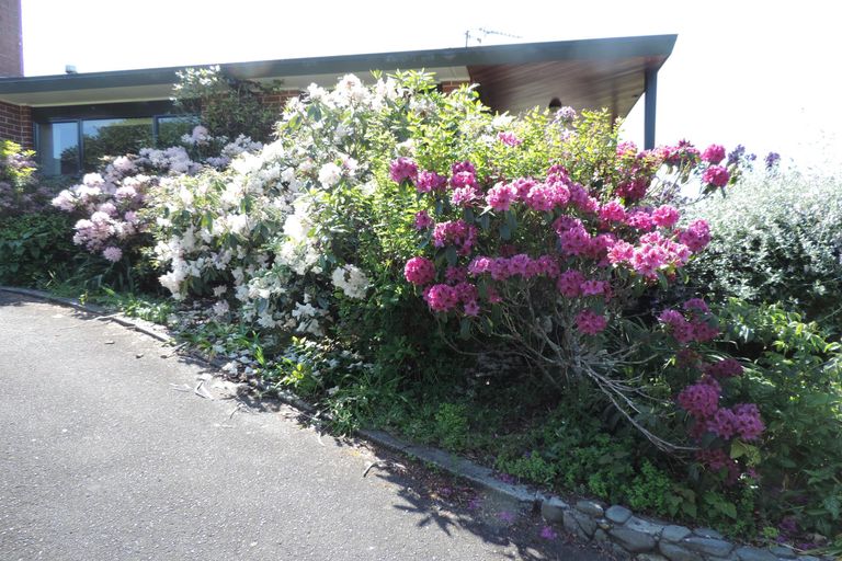 Photo of property in 189a Tower Road, Matamata, 3471