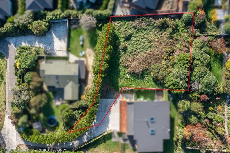 Photo of property in 1 Lauriston Street, Andersons Bay, Dunedin, 9013