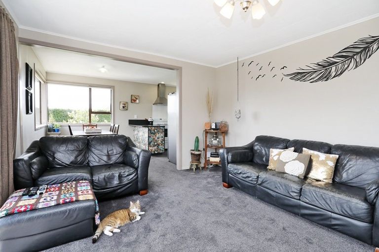 Photo of property in 8 Mackenzie Street, Winton, 9720