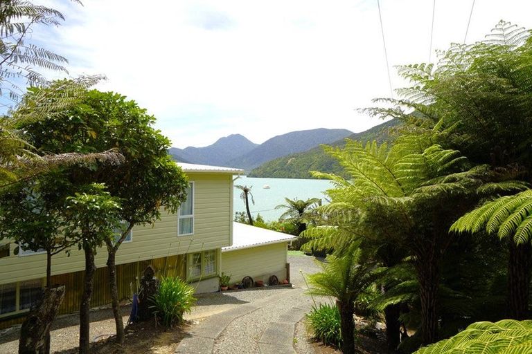 Photo of property in 699 Queen Charlotte Drive, Havelock, Picton, 7281