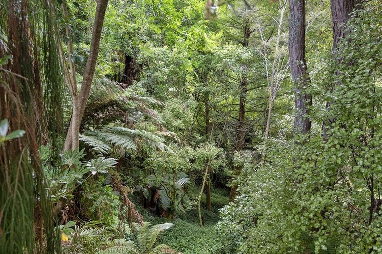 Photo of property in 54 Pulham Crescent, Queenwood, Hamilton, 3210