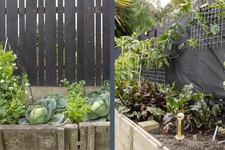 Photo of property in 48 Pine Avenue, Otumoetai, Tauranga, 3110