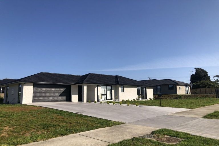 Photo of property in 131 Wairau Drive, Tikipunga, Whangarei, 0112