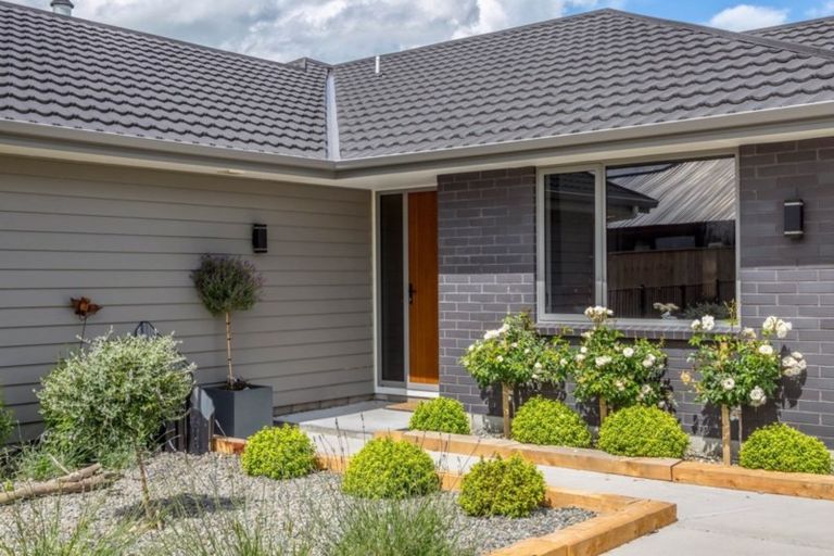 Photo of property in 30 Gimson Street, Solway, Masterton, 5810