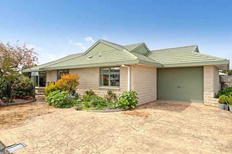 Photo of property in 143 Dixon Street, Masterton, 5810
