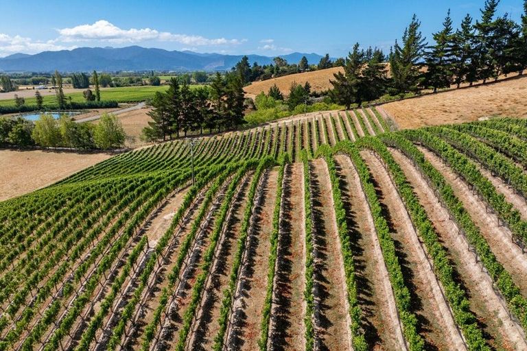 Photo of property in 147 Brookby Road, Hawkesbury, Blenheim, 7272