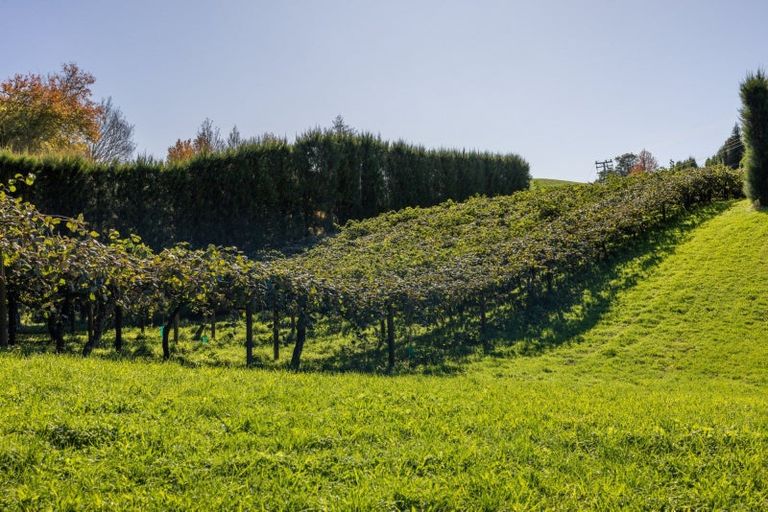 Photo of property in 394 Old Highway, Whakamarama, 3180