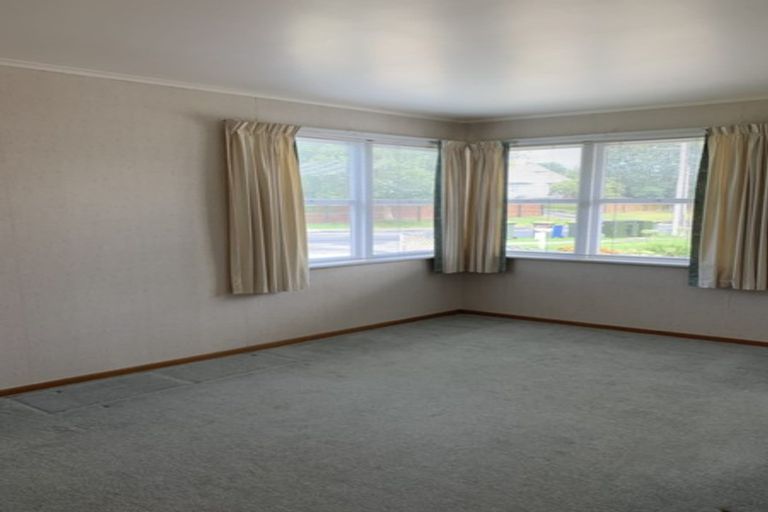 Photo of property in 125 Hutchinson Avenue, New Lynn, Auckland, 0600