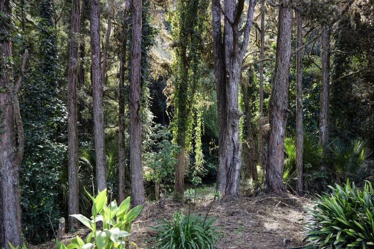 Photo of property in 303 Gibbons Road, Kaiwaka, 0573