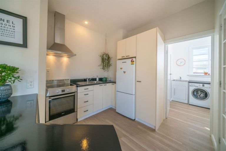 Photo of property in 55 Diamond Avenue, Spreydon, Christchurch, 8024