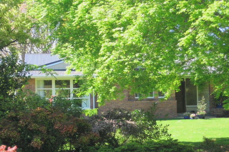 Photo of property in 20 Sylvan Place, Matamata, 3400