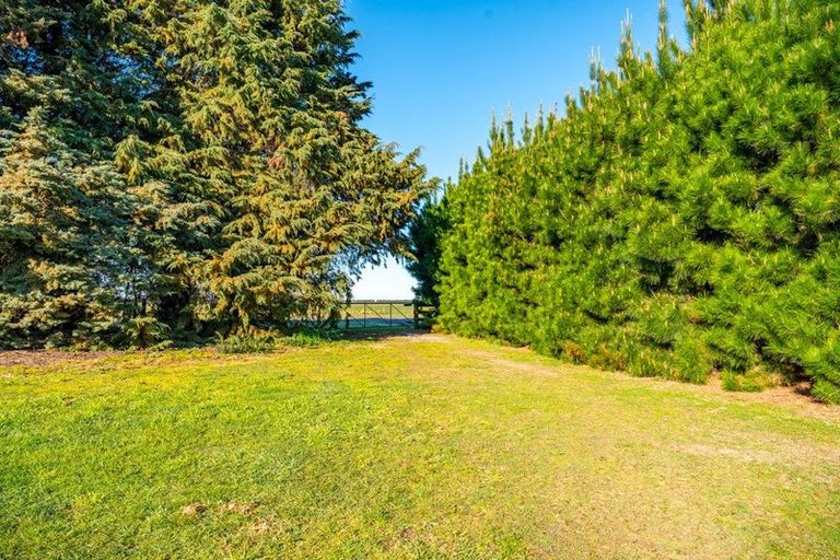 Photo of property in 39 Hedley Road, Levels, Timaru, 7973