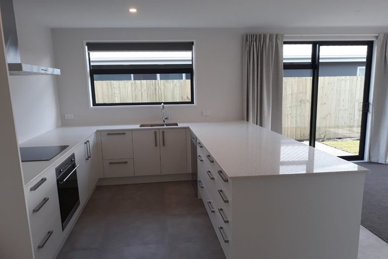 Photo of property in 58 William Nicholls Drive, Belfast, Christchurch, 8051