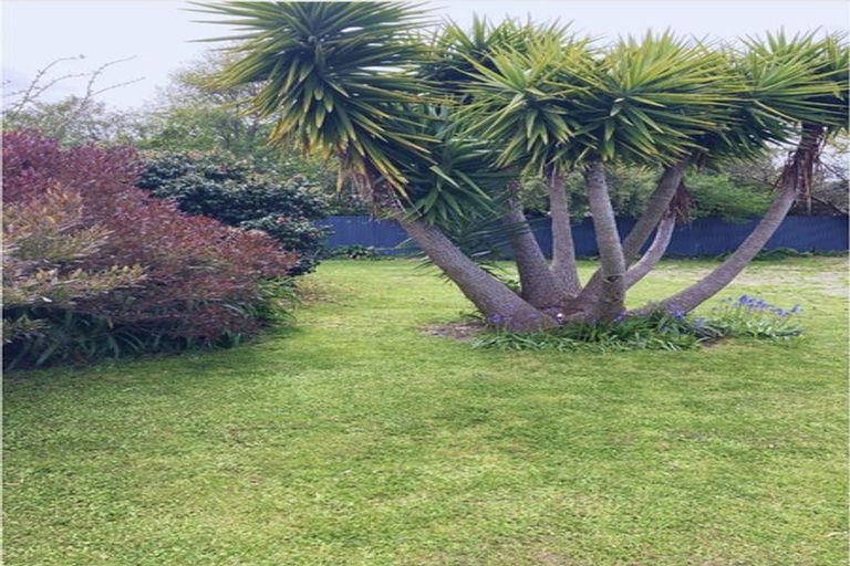 Photo of property in 81a Venice Street, Martinborough, 5711