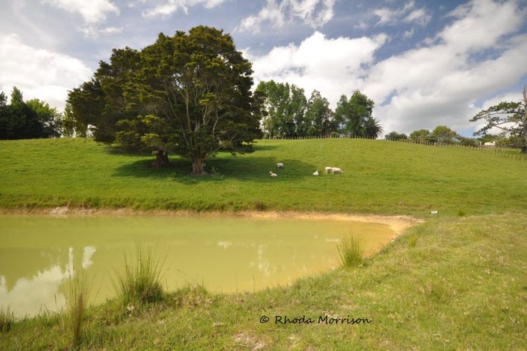 Photo of property in 69 Matakohe Wharf Road, Matakohe, 0593