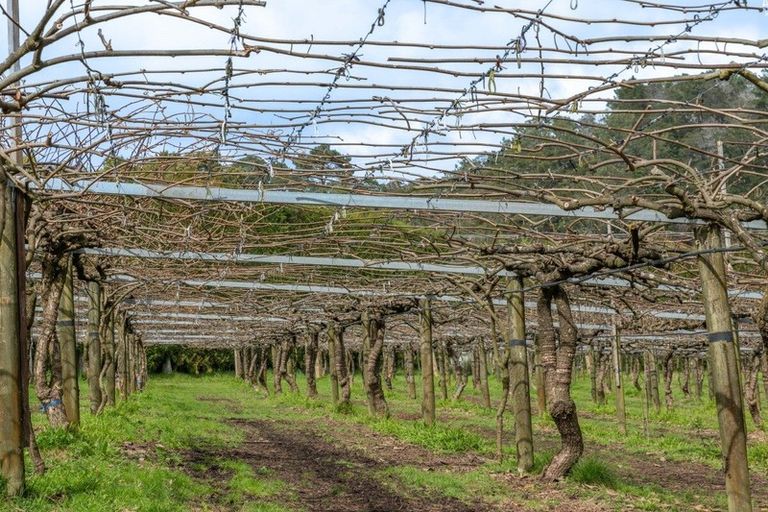 Photo of property in 29 I'anson Road, Minden, 3179