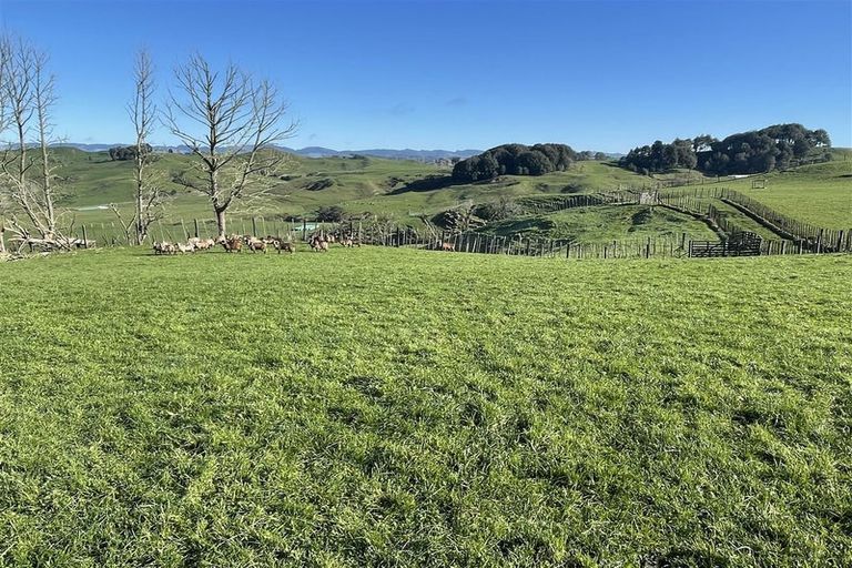 Photo of property in 80a Mangaotaki Road, Piopio, 3971