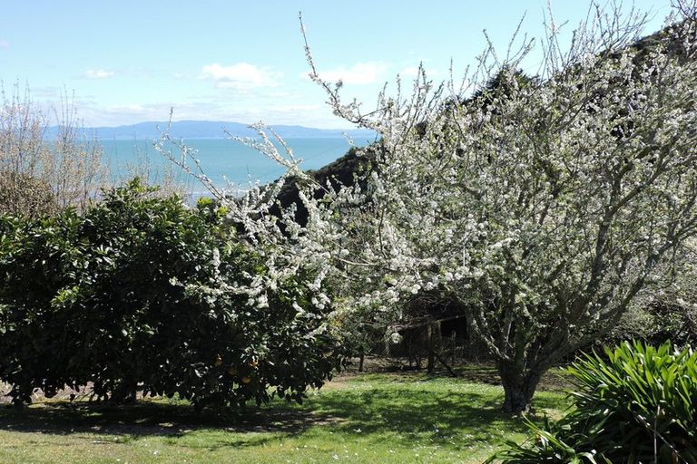 Photo of property in 15 Eames Crescent, Te Mata, Thames, 3575