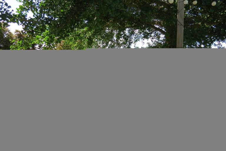 Photo of property in 1/2 Fraser Street, Te Awamutu, 3800