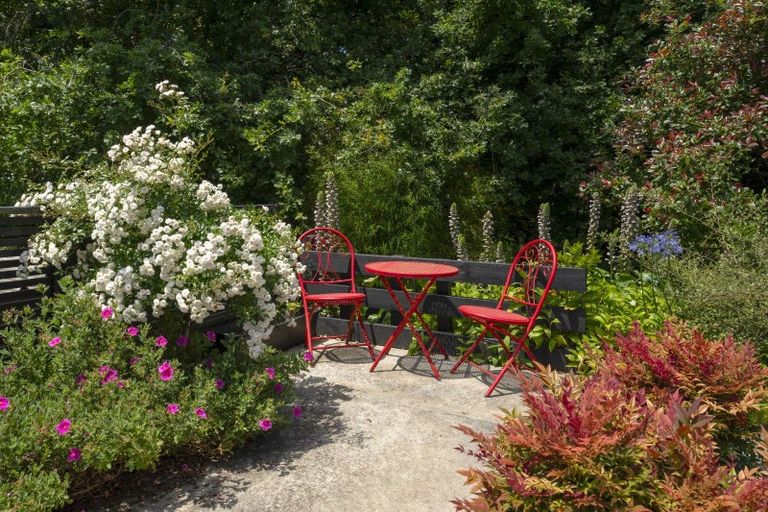 Photo of property in 107 Hollister Lane, Ohauiti, Tauranga, 3112