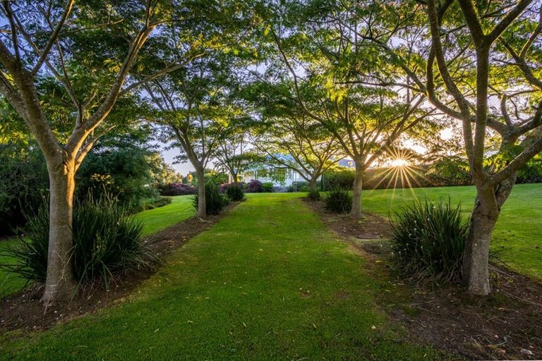 Photo of property in 37 Ryvington Lane, Tamahere, Hamilton, 3283