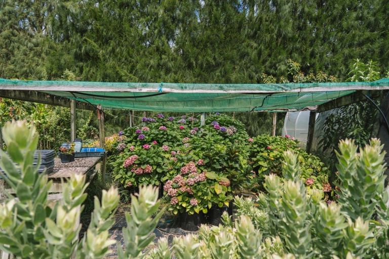 Photo of property in 259 Wainui Road South, Whakamarama, Katikati, 3181