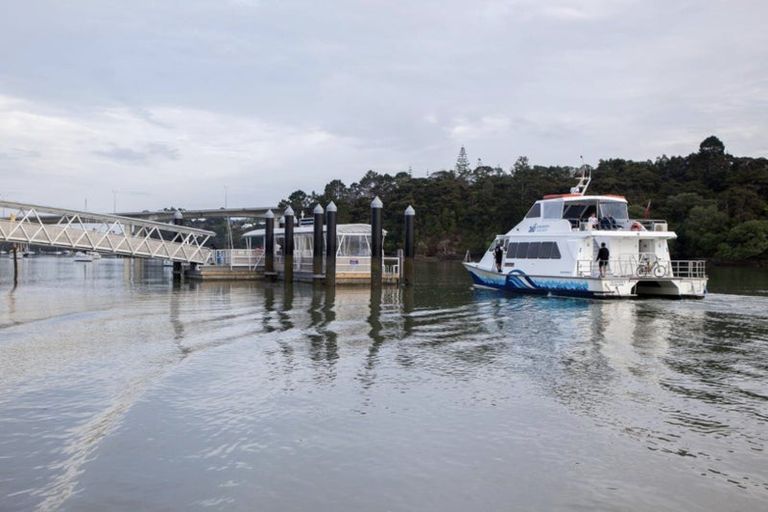 Photo of property in 22 Pukeko Road, Hobsonville, Auckland, 0616