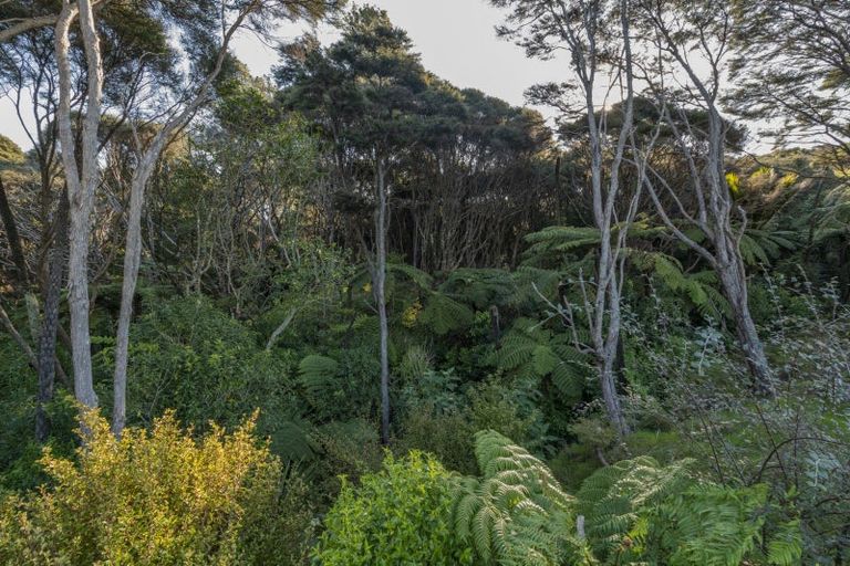 Photo of property in 49 Discovery Drive, Wharekaho, Whitianga, 3510