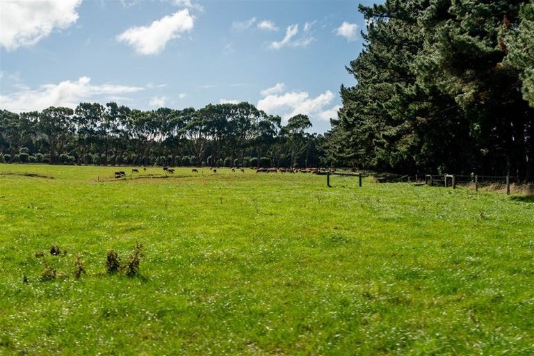 Photo of property in 1409 Collingwood-puponga Main Road, Pakawau, Collingwood, 7073