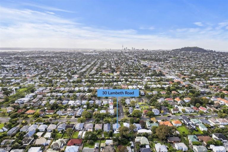 Photo of property in 30 Lambeth Road, Mount Eden, Auckland, 1041