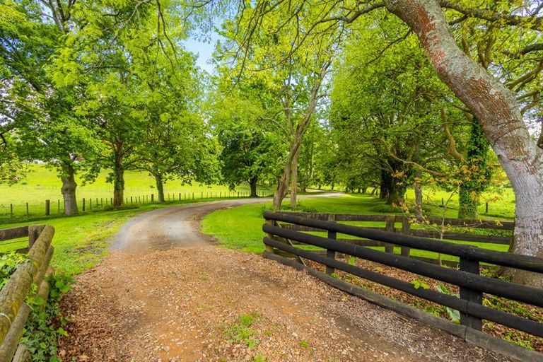 Photo of property in 228 Pond Road, Matamata, 3472