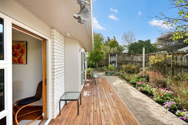 Photo of property in 53 Splitt Avenue, Glenview, Hamilton, 3206