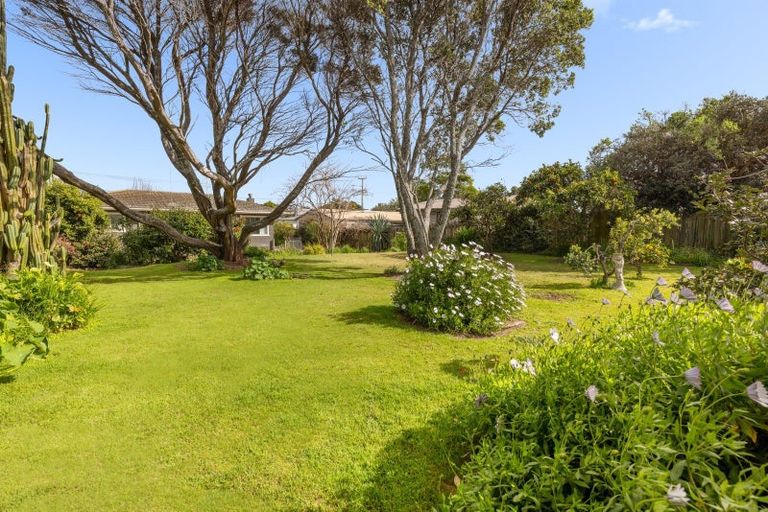 Photo of property in 13 Links Avenue, Mount Maunganui, 3116