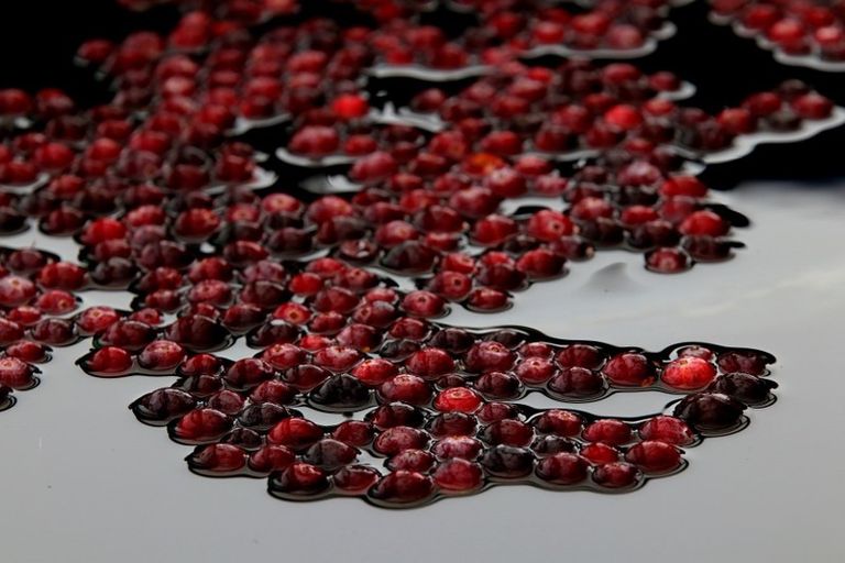 Photo of property in 1218 Old Christchurch Road, Awatuna, Hokitika, 7882