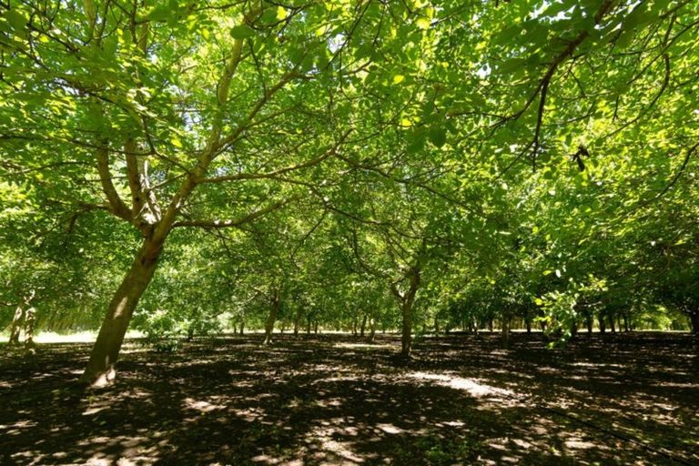 Photo of property in 22 Madeleys Road, Clarkville, Kaiapoi, 7692