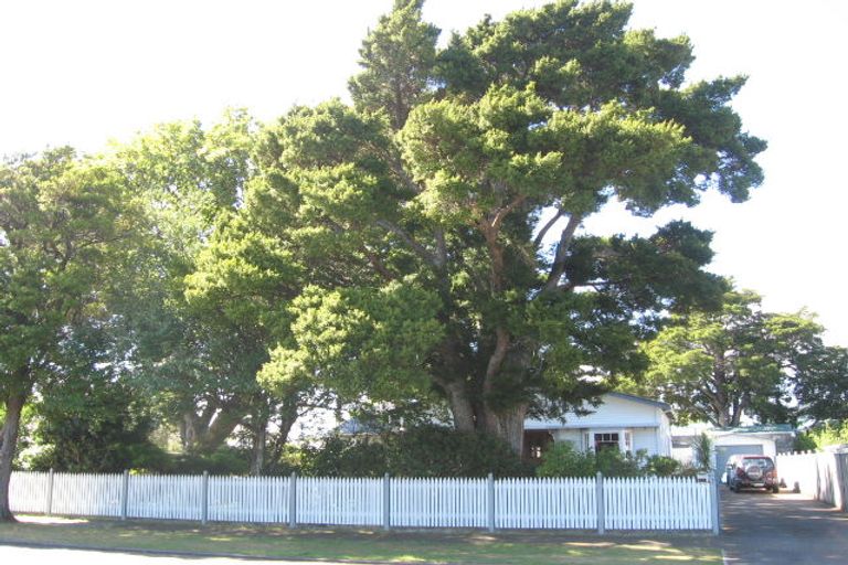 Photo of property in 1 Palfrey Street, Wallaceville, Upper Hutt, 5018