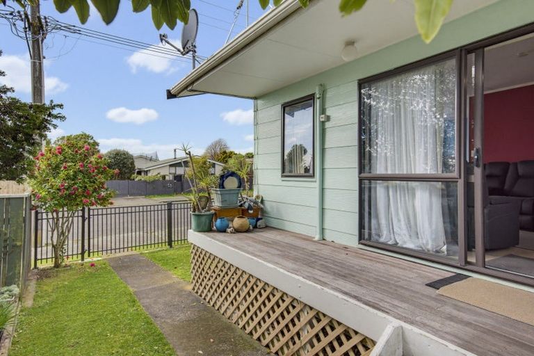 Photo of property in 13 Douglas Street, Levin, 5510