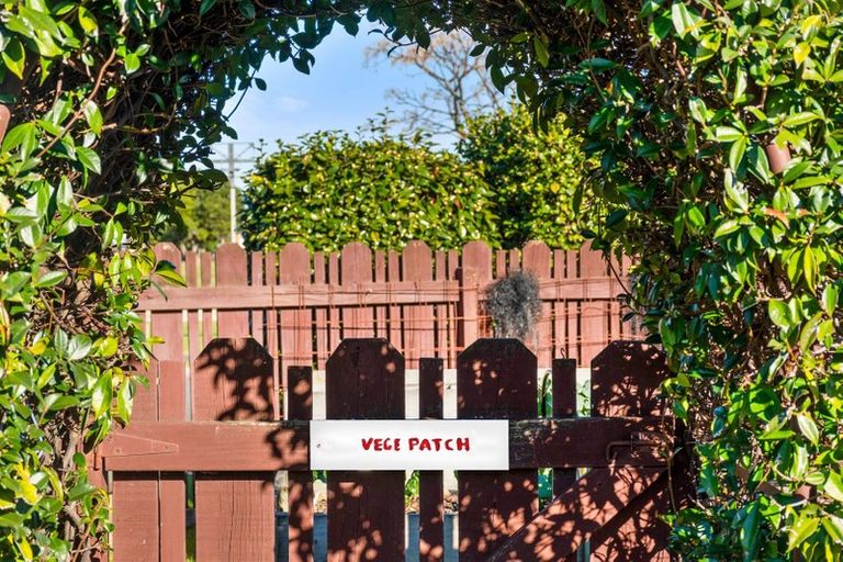 Photo of property in 22 Reilly Avenue, Mount Maunganui, 3116