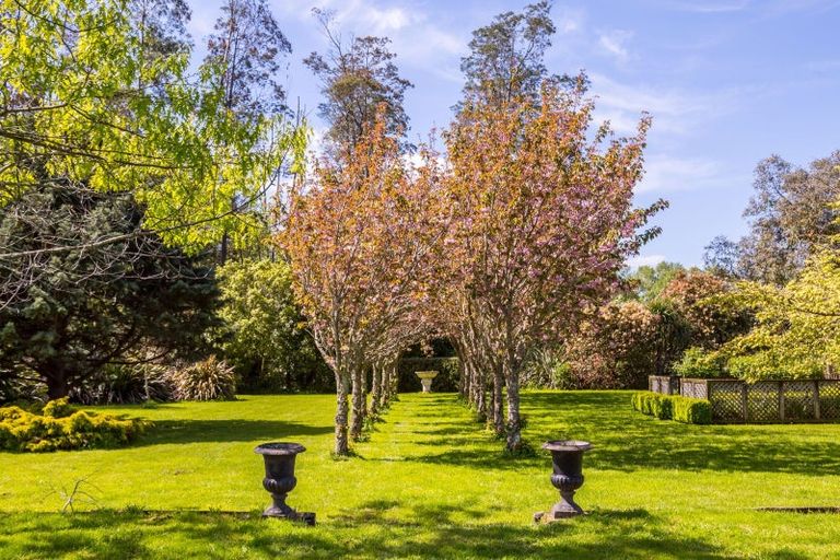 Photo of property in 186a Te Whiti Road, Homebush, Masterton, 5885