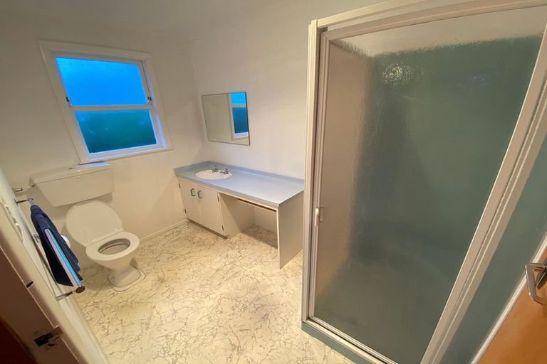 Photo of property in 109 Te Awe Awe Street, Hokowhitu, Palmerston North, 4410