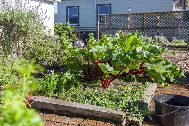 Photo of property in 56 Poplar Avenue, Raumati South, Paraparaumu, 5032