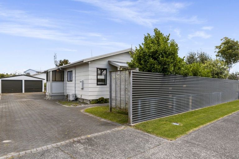 Photo of property in 19 Solomon Street, Brookfield, Tauranga, 3110