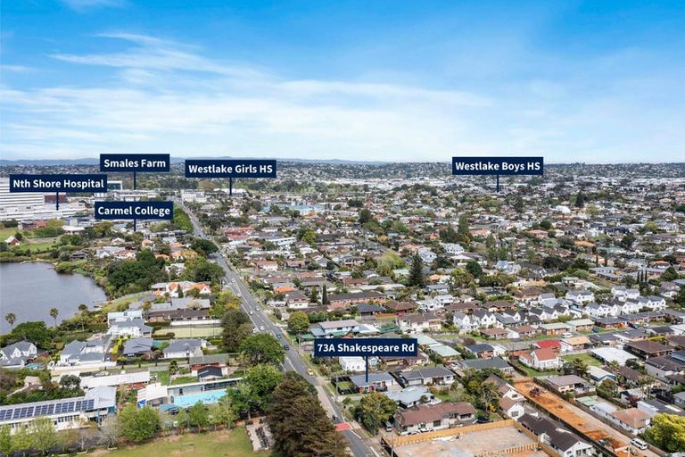 Photo of property in 1/73 Shakespeare Road, Milford, Auckland, 0620