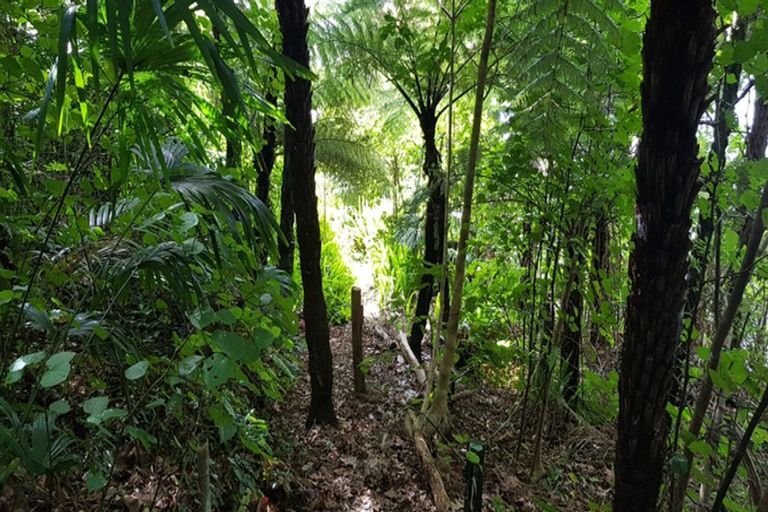 Photo of property in 113 Main Sh25 Road, Tairua, 3508